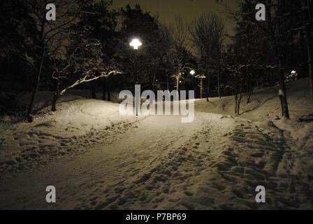 Schweden. Stockholm. Verschneiten Park in der Nacht. Stockfoto