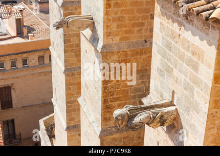 Wasserspeier der Kathedrale Santa Maria von Palma, auch als La Seu bekannt. Palma De Mallorca, Spanien Stockfoto