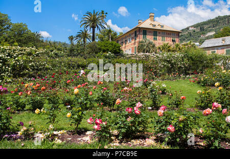 Genua (Genova), Italien, 18. Mai 2018 - Die Rose Garden' Il Roseto" in Genua (Genova) in Genua Nervi Nervi, Parks, Italien. Stockfoto