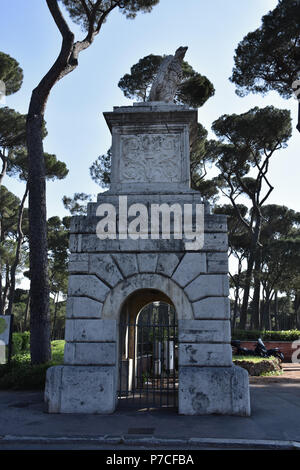 Rom, die berühmten und herrlichen Kiefern der Villa Borghese, in öffentlichen Gärten im Zentrum der Stadt. Stockfoto