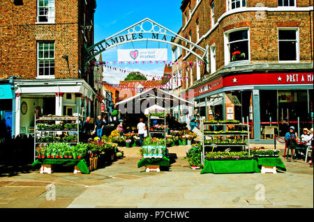 Shamble Markt, die Parliament Street, York, England Stockfoto