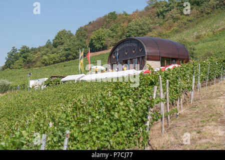 Weinfass, Weinberg, Ingelfingen, Kochertal, Hall, Hohenlohe, Baden-Württemberg, Heilbronn-franken, Deutschland Stockfoto