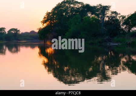 Sonnenaufgang über dem Cuiaba Fluss, Pantanal, Bundesstaat Mato Grosso, Brasilien Stockfoto