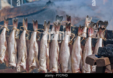 PORTSOY FESTIVAL ABERDEENSHIRE SCHOTTLAND Arbroath Smokies SCHELLFISCH FISCH RAUCH AUS FÄSSERN VON FISCH UND RACKS VON FISCH BEREIT ZU SEIN, geräucherter und gekochter Stockfoto