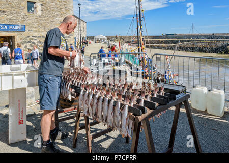 PORTSOY FESTIVAL ABERDEENSHIRE SCHOTTLAND Arbroath Smokies der Schellfisch Fisch hing an Regalen VOR DEM RAUCHEN Stockfoto