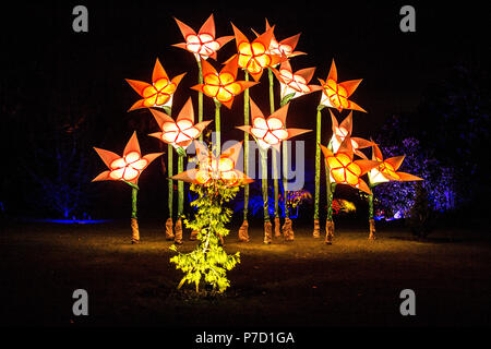 Weihnachtsbeleuchtung an der RHS Wisley Garden im Jahr 2017 Stockfoto