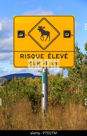 Schild warnt der Elche überqueren Sie die Strasse, Autobahn 138, Provinz Québec, Kanada Stockfoto