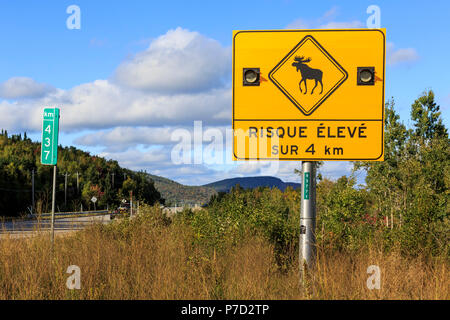 Schild warnt der Elche überqueren Sie die Strasse, Autobahn 138, Provinz Québec, Kanada Stockfoto