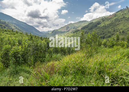 24+ Nationalpark Uganda Landschaft Background