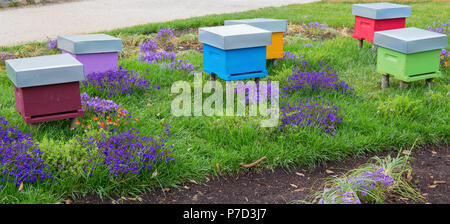 Eine Reihe der farbigen Bienenvölker in einem Feld von Blumen. Stockfoto