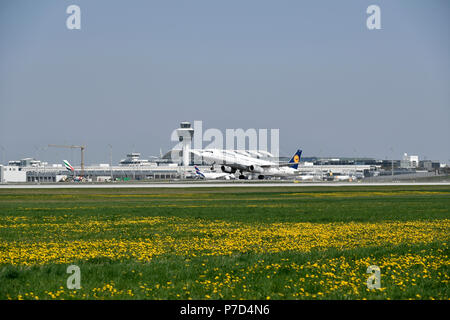 Lufthansa, Airbus, A 321-200, Start, blühende Wiese, Start- und Landebahn Süd, Turm, Terminal 1, Flughafen München, Oberbayern, Bayern Stockfoto