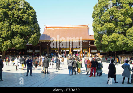 Meiji Jingu Shinto Schrein, Yoyogi Park, Shibuya, Tokio, Japan Stockfoto