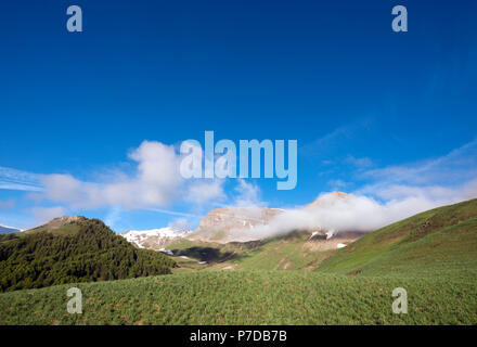 Grüne grasbewachsene Hügel unter schneebedeckten Berge der Haute Provence in der Nähe von Col de Vars in Frankreich Stockfoto