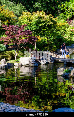 Die Kyoto Garden, Holland Park, London, Vereinigtes Königreich Stockfoto