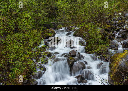 Wasser aus einem schmelzenden Gletschers streams an der Seite eines Berges. Stockfoto