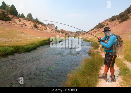 Schöne kleine Hot Creek östlich von Mammoth Lakes Renditen viele Regenbogen- und Bachforelle. Ein Fliegenfischer Haken mit einer Forelle in einem der Pools. Stockfoto