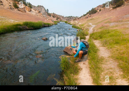 Schöne kleine Hot Creek östlich von Mammoth Lakes Renditen viele Regenbogen- und Bachforelle. Ein Fliegenfischer Haken mit einer Forelle in einem der Pools. Stockfoto