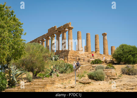 Italien Sizilien Agrigento Valle dei Templi Tal der Tempel gebaut 450 V.CHR. von Siedlern aus Gela Tempel der Hera Lacinia 5. Jahrhundert v. Chr. Schritte Bäume Stockfoto