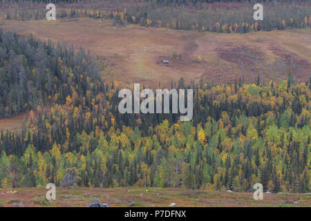 Alte Scheune aus fiel in Lommoltunturi Pallas-Yllästunturi-Nationalpark, Muonio, Lappland, Finnland Stockfoto