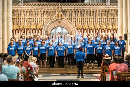 Rumpf und East Yorkshire Hospitals NHS Angestellten Chor während der Probe vor einer Veranstaltung 70. Jahrestag des NHS im York Minster zu markieren. Stockfoto