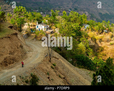 Terrassierten Feldern auf der remote Sanouli Dorf, wo Jim Corbett schoß die fleischfressenden Panar Leopard, Kumaon Hügel, Uttarakhand, Indien Stockfoto