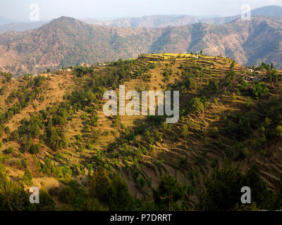 Terrassierten Feldern auf der remote Sanouli Dorf, wo Jim Corbett schoß die fleischfressenden Panar Leopard, Kumaon Hügel, Uttarakhand, Indien Stockfoto