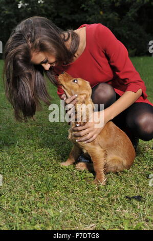 Junge Mädchen in Rot spielt gerne mit Ihrem Hund English Cocker Spaniel lächelnd gekleidet Stockfoto