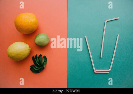 Konzeptuelle Fotografie. Citrus Limonade oder Saft. Auf der einen Seite ein Glas Rohre. Auf der anderen Seite sind frisch Orange, Zitrone, Limette und Minze Stockfoto