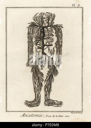 Korrupte System aus der Vena cava im menschlichen Körper. Kupferstich von Robert Benard nach einem Bild von James Drake von Denis Diderots Enzyklopädie, Pellets, Genf, 1779. Stockfoto