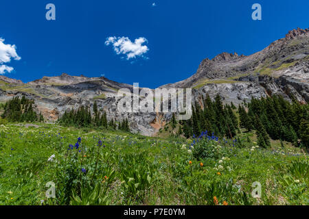 Große Vista mit Blick auf eine Wiese mit Wildblumen gefüllt. Stockfoto