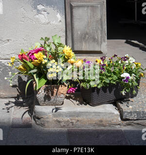 Korb mit Veilchen und künstlichen Blumenstrauß aus Tulpen, Chrysanthemen, Maiglöckchen und Butterblumen, zieren den Eingang zum Restaurant Stockfoto