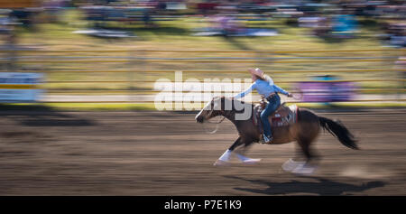 Ein Cowgirl und ihrem Pferd galoppieren, auf dem Weg zur Ziellinie während einer Barrel Racing Wettbewerb auf der Airdrie Pro Rodeo. Stockfoto