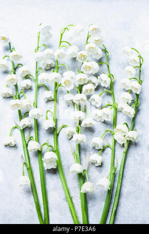 Maiglöckchen Blumen auf weißem Hintergrund Stockfoto
