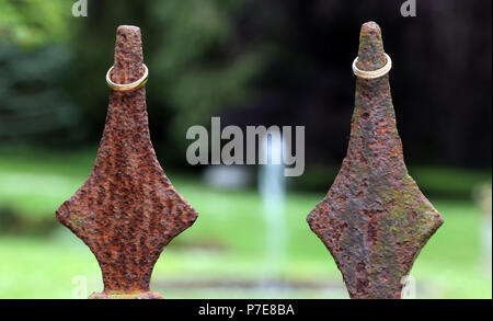 Goldene Hochzeit Ringe stilvoll arrangiert auf dem Zaun Lancet Stockfoto