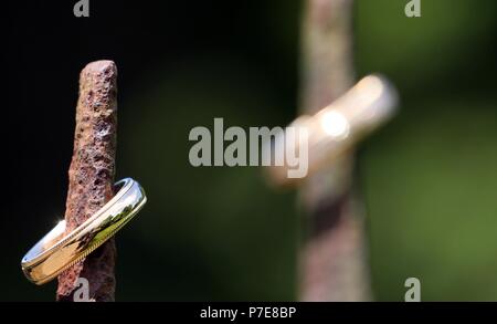 Golden weddingring des Bräutigams stilvoll arrangiert Stockfoto