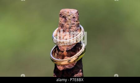 Goldene Hochzeit Ringe mit brillanten Glanz stilvoll im Sonnenlicht angeordnet Stockfoto