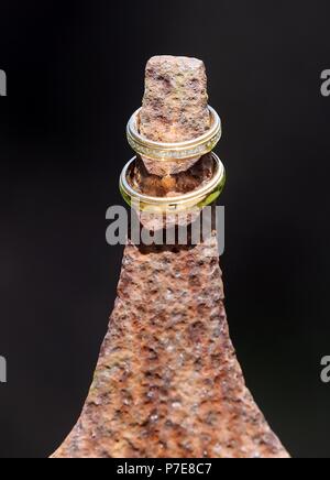 Goldene Hochzeit Ringe mit brillanten verziert auf einer alten Zaun Lancet Stockfoto