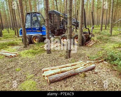 Im Wald, 22. März 2014. Lkw-Arbeit in jungen Pinienwald. Geschickte drei Achsen Holz Harvester. Wald schneiden mit besonderen Truck. Stockfoto