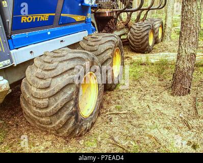 Ernte im Wald - 22. März 2014. Feldhäcksler cut Pinien. Schwere Maschine Holz Harvester. Der Feldhäcksler im Wald arbeiten. Stockfoto