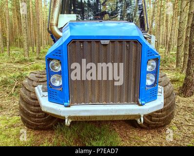 Ernte im Wald - 22. März 2014. Feldhäcksler cut Pinien. Schwere Maschine Holz Harvester. Der Feldhäcksler im Wald arbeiten. Stockfoto