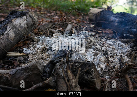 Bbq-Platz in Forrest mit kleinen Feuer und graue Asche und Rauch Stockfoto