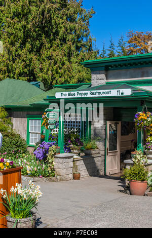 Gewachshaus Blumen Butchart Gardens Victoria British Columbia