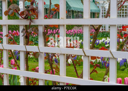 Garten-Szene in den Butchart Gardens in Victoria, British Columbia, Kanada. Stockfoto