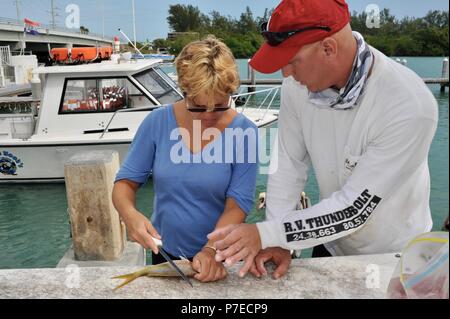 Frau Filetieren frisch gefangen, Salzwasser Yellow Tail snapper Fischen dockside unter der Anleitung eines Angelführers, Kapitän, Marathon, Florida Keys, USA Stockfoto