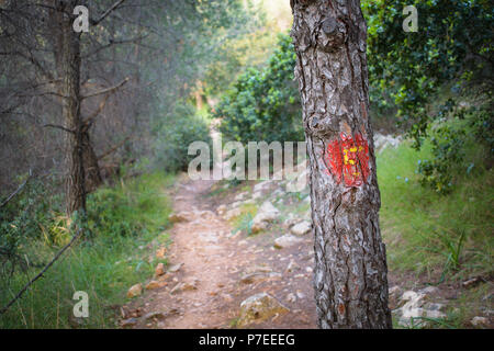 Markierten Baum mit Trail Anzahl in Hymettus (ymittos), Griechenland Stockfoto