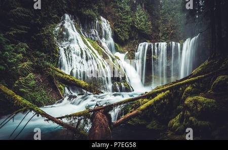 Panther Creek Falls ist ein 130 Meter hohen Wasserfall in der Gifford Pinchot National Forest der südlichen Staat Washington in der Nähe des Columbia River Gorge. Stockfoto