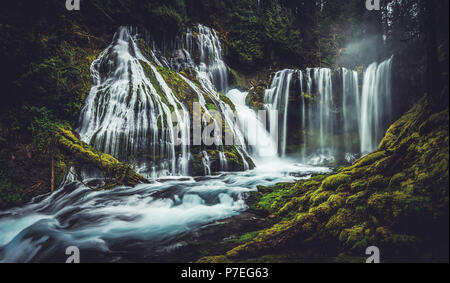 Panther Creek Falls ist ein 130 Meter hohen Wasserfall in der Gifford Pinchot National Forest der südlichen Staat Washington in der Nähe des Columbia River Gorge. Stockfoto