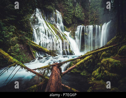 Panther Creek Falls ist ein 130 Meter hohen Wasserfall in der Gifford Pinchot National Forest der südlichen Staat Washington in der Nähe des Columbia River Gorge. Stockfoto