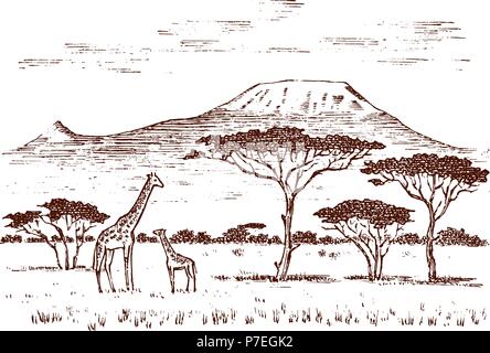 Vintage afrikanische Landschaft. Safaris und wilde Giraffen. Kilimanjaro Mountain in der Savanne. Tiere graviert Hand gezeichnet Alte monochrom Skizze für das Label. Stock Vektor