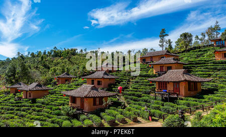 Ban Rak Thai in Mae Hong Son, Thailand. Stockfoto